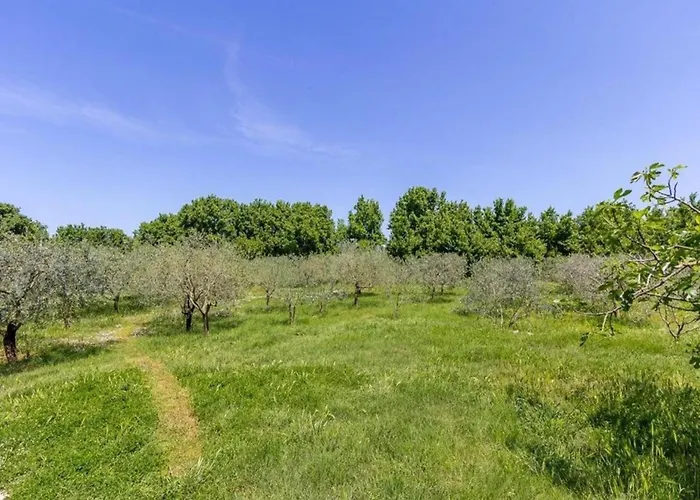 House In Fa Ana Near Rock 펜션 파자나