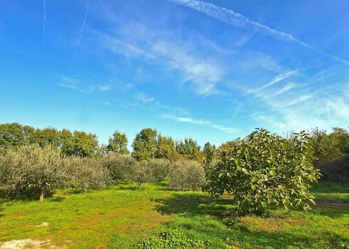 House In Fa Ana Near Rock 펜션